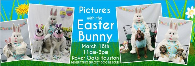 Doggie Pictures with the Easter Bunny Benefiting Shaggy Dog Rescue