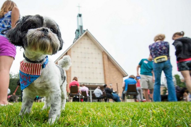 Blessing of the Animals at Bellaire United Methodist Church