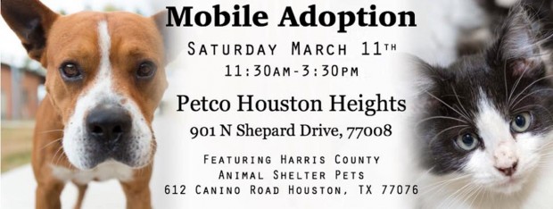 Mobile Adoption Featuring Harris County Animal Shelter Pets