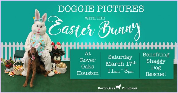 Doggie Pictures with the Easter Bunny at Rover Oaks Houston