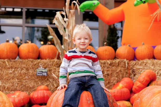 Pumpkin Patch to Benefit Epilepsy Foundation Texas