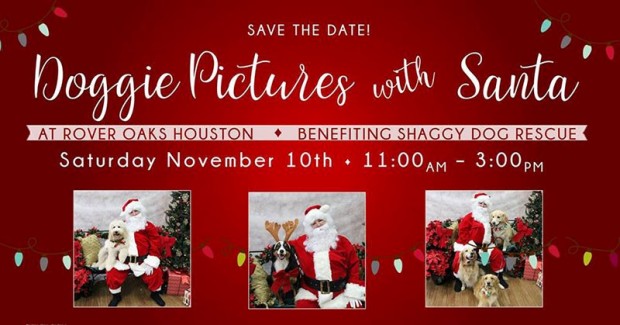 Doggie Pictures with Santa at Rover Oaks Houston