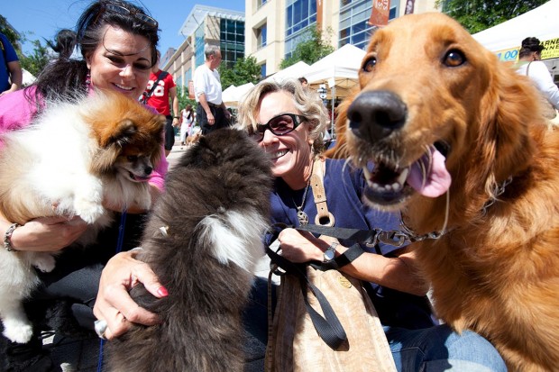 Doggy Party on the Plaza