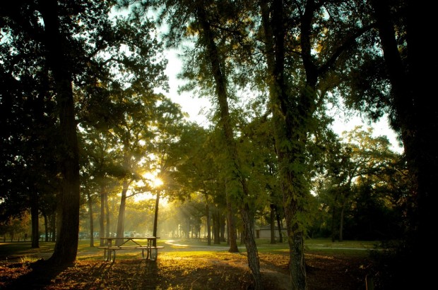 Picnic Loop