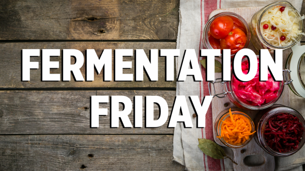 Fermentation Friday