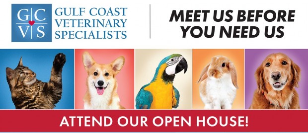 Gulf Coast Veterinary Specialists' Open House