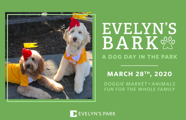 Evelyn's Bark