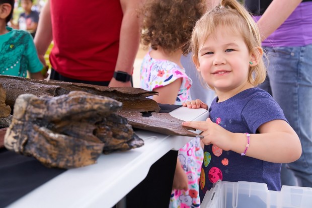 Houston Museum of Natural Science at Levy Park