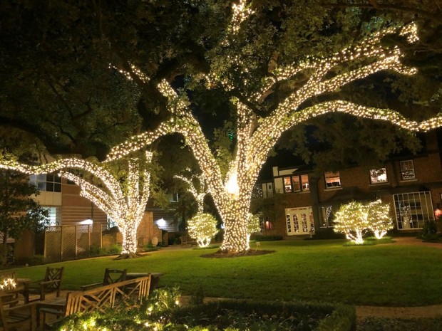 Houston Hospice Gardens of Light