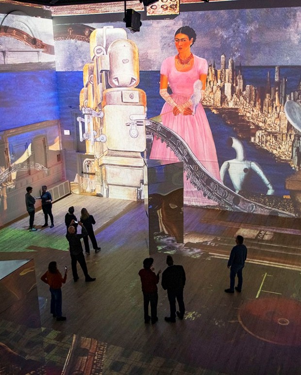 Frida: Immersive Dream exhibit