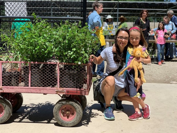 The Houston Arboretum’s Spring Plant Sale