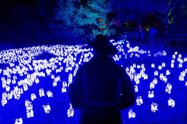 Lightscape Lightscape