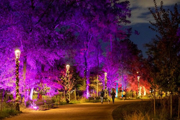 Memorial Park holiday lights Memorial Park holiday lights