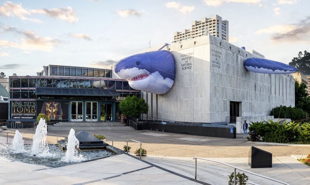 “Sharks! The Meg, The Monsters, & The Myths” Exhibit at the Houston Museum of Natural Science