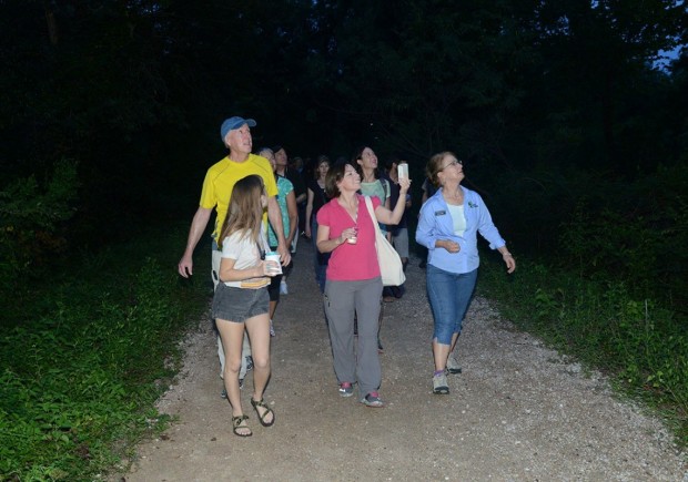 Group with bat detector