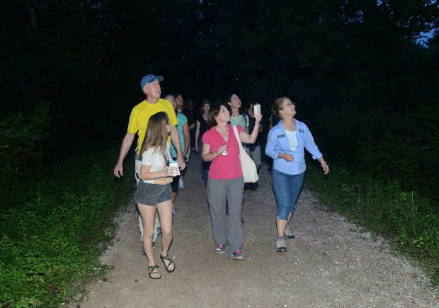 Group with bat detector Group with bat detector