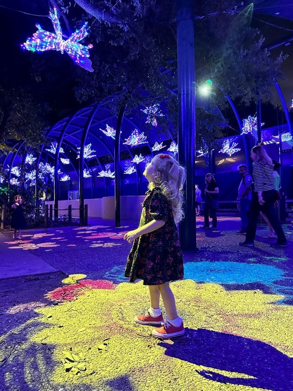 Zoo Lights Zoo Lights