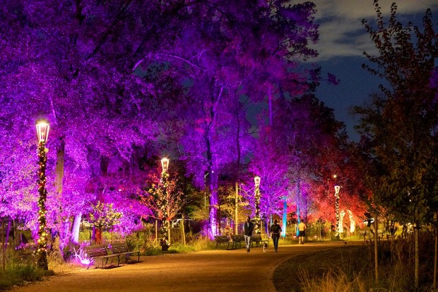 Memorial Park Conservancy's holiday lights
