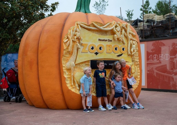 Zoo Boo