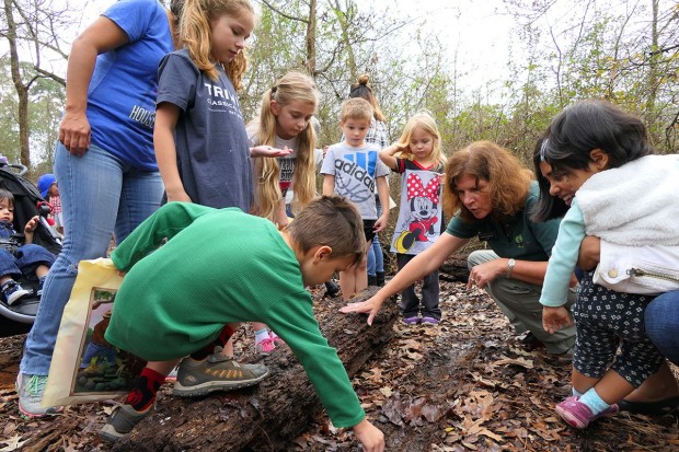 Arbor Day Celebration