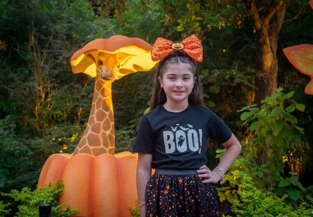 Zoo Boo