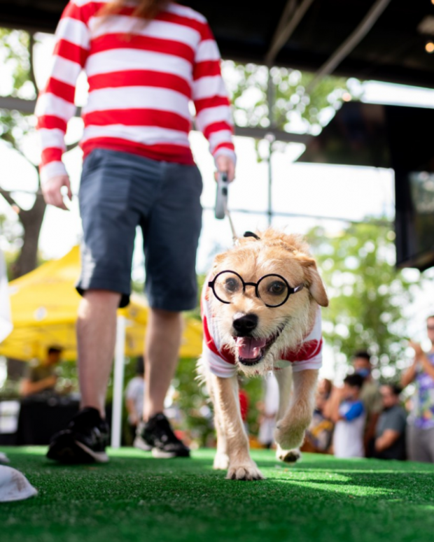 Barktoberfest Barktoberfest