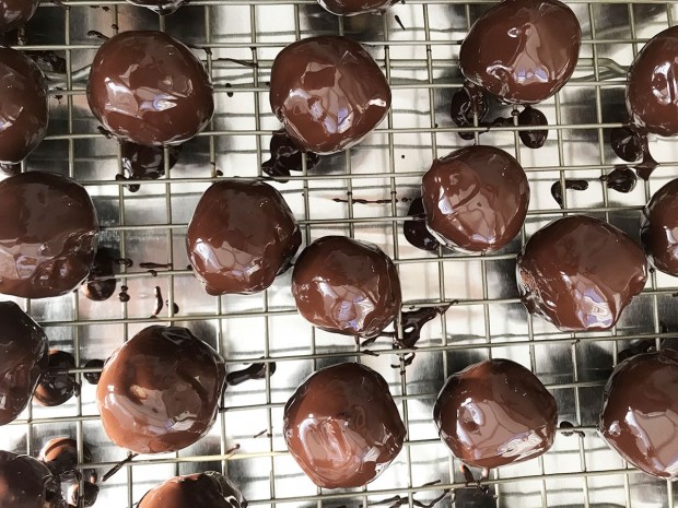 Peanut Butter Balls Peanut Butter Balls