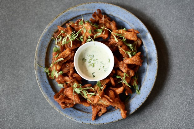 MAITAKE JARAAGE MAITAKE JARAAGE