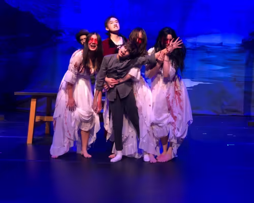 Brides and Dracula on stage