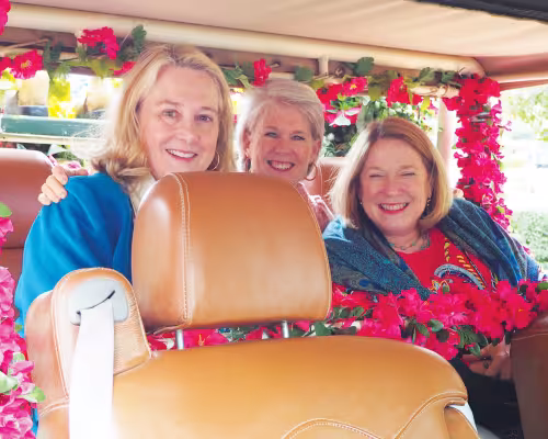 D'Anne Anderson, Julia DeWalch, Elizabeth Stone