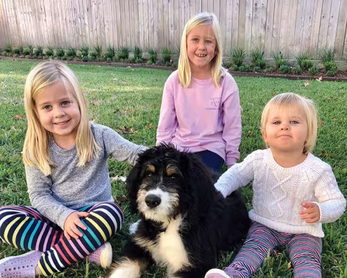 Emily Davis, Ella Davis, Evelyn Davis