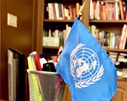 Houston Area Model United Nations (HAMUN)