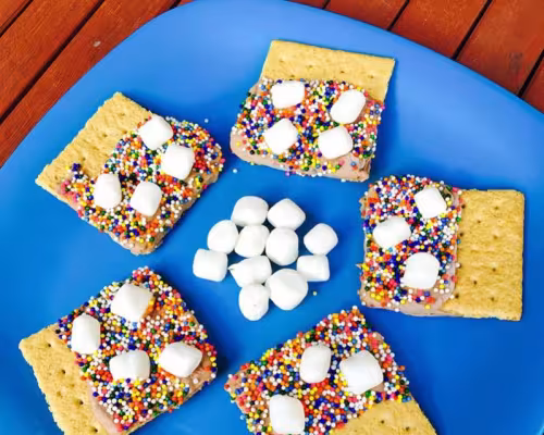 Nutella/PB Yogurt Graham Crackers (Frozen S’mores)