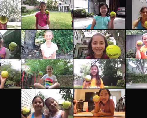 Duck Billed Platypuses