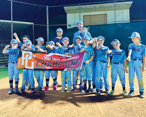 The Bullshark Baseball 10U select team