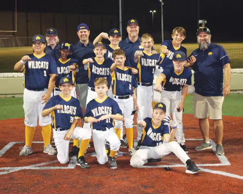 13U Wildcats