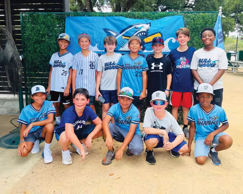 Bull Shark Baseball teams