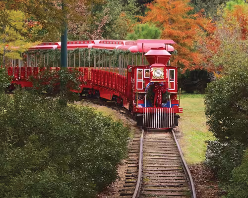 Hermann Park Railroad
