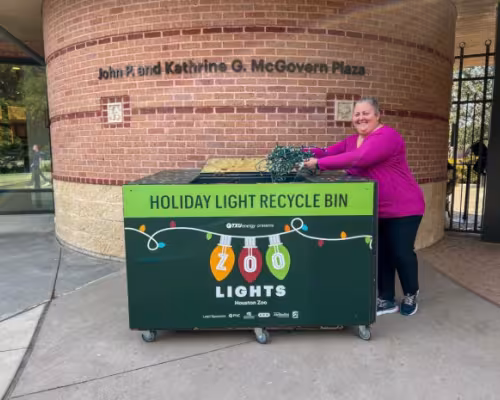 Holiday light recycling at the Houston Zoo