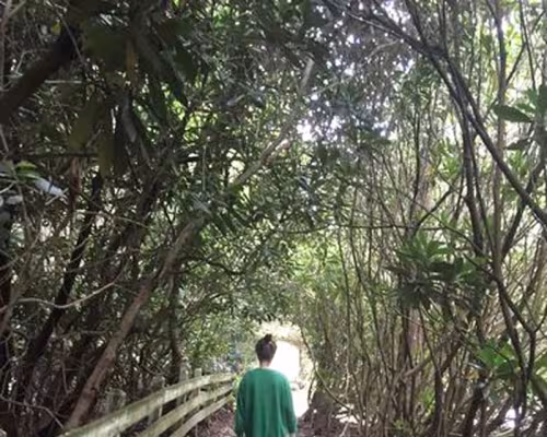 Andie Chilson hiking to the peak of Sunset Rock.
