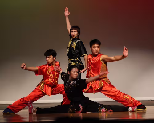 Lunar New Year Kung Fu Performance