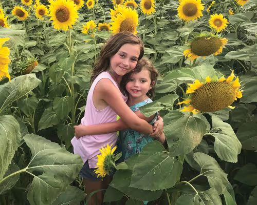 Faye Harrington, Hazel Harrington