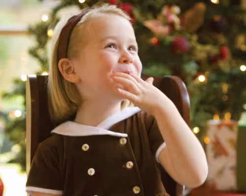 Cranberry Cheesecake