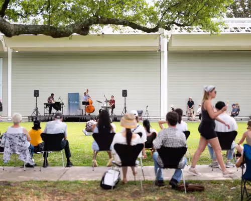 DACAMERA Stop, Look, and Listen!