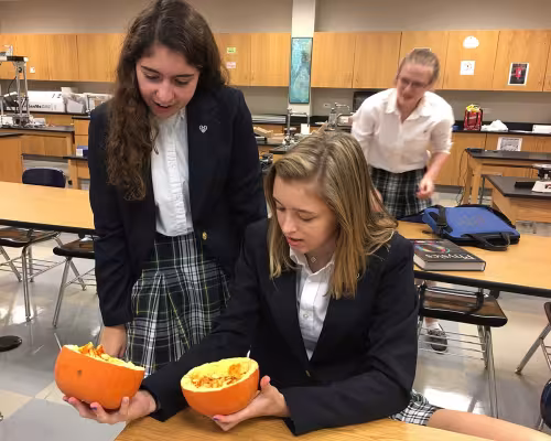 Pumpkin experiment