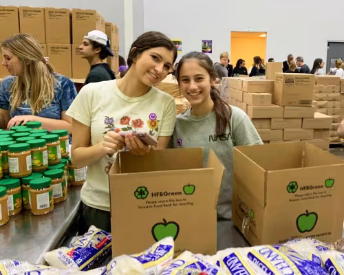 Debbie Lederman, Bayle Vines