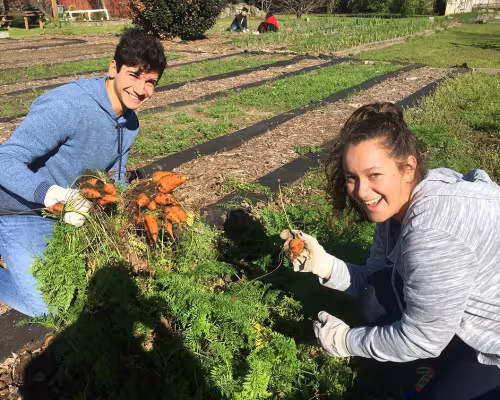 Aaron Elfezouaty, Sararose Fox