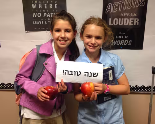 Gali Hampel, Nava Teller