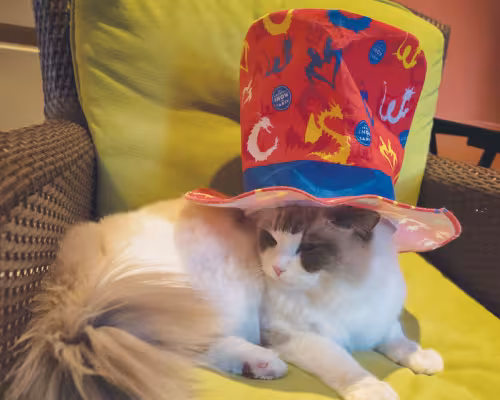 Captain James T. Kirk