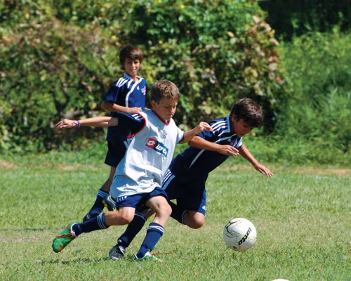 Drake Champion-Ball, Peter Prentice and Riordan Thukral Keneally